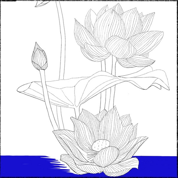 Lotusblüte Sinnbild für Erneuerung